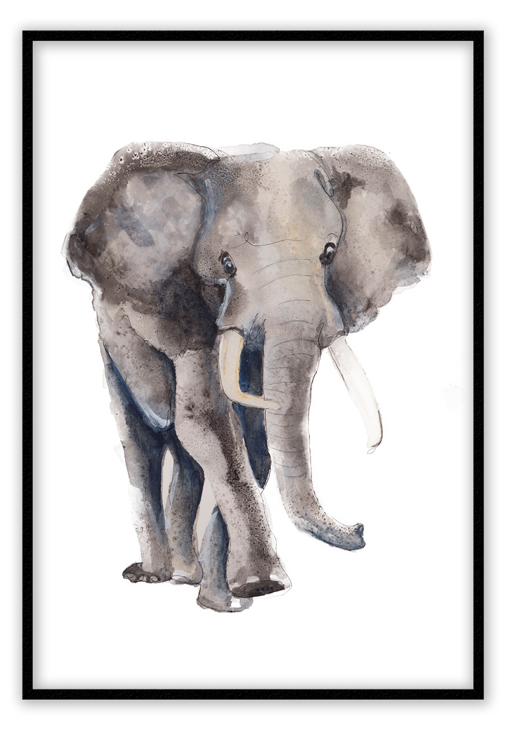 Kids print with watercolour elephant on a white background 