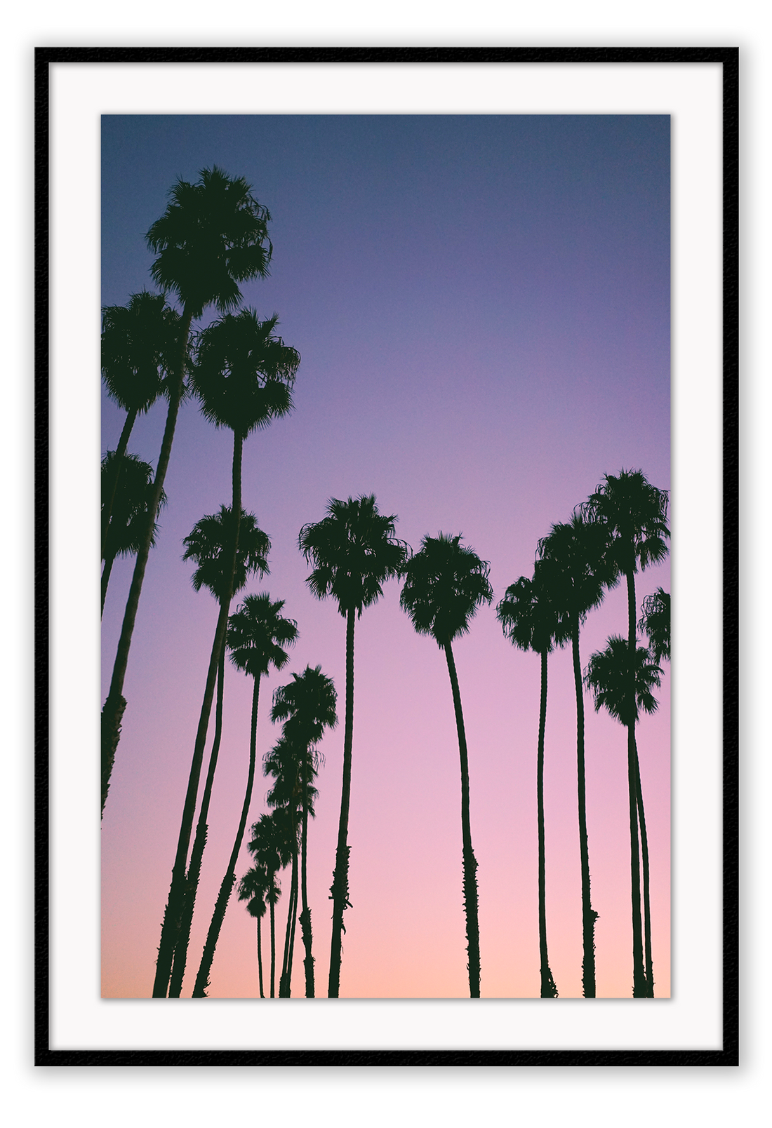 Photography coastal print with shadows of palm trees on a purple, pink and orange sunset background.