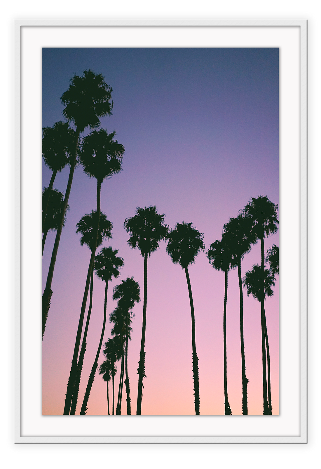 Photography coastal print with shadows of palm trees on a purple, pink and orange sunset background.