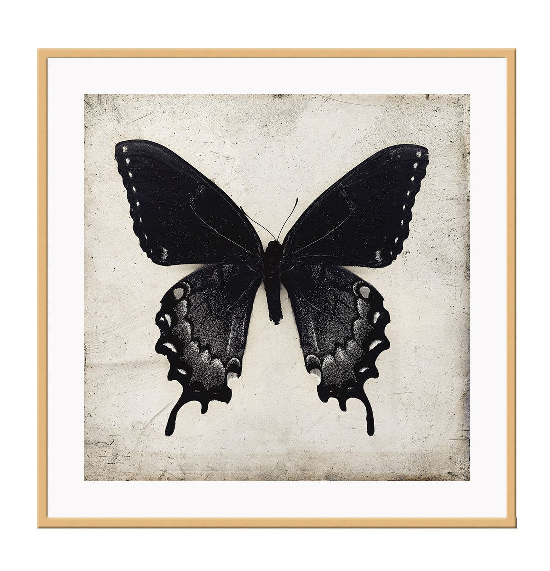 Square butterfly print with vintage paper background and black insect with wings extended 