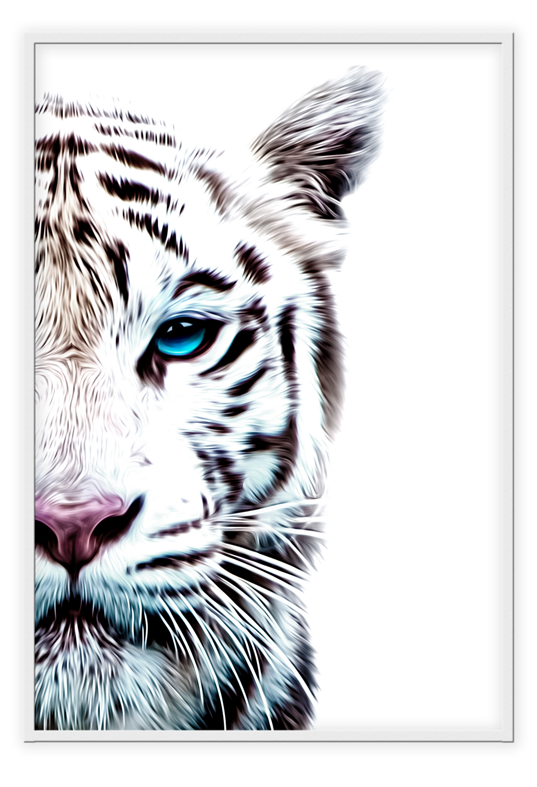 Half face of tiger photograph on white background blue eye furry pink nose