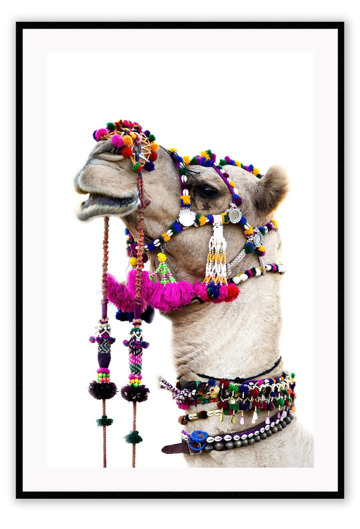 Animal camel print photography bright pink yellow red blue pom pom harness on white background