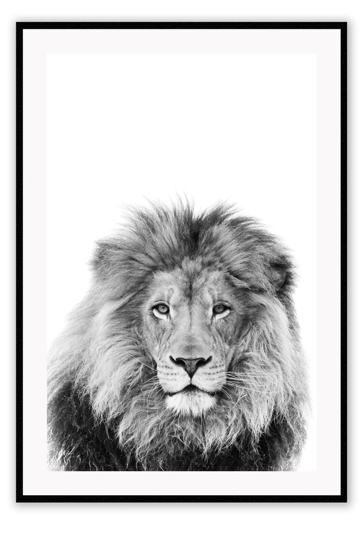 A black and white natural wall art of a lion sketch.