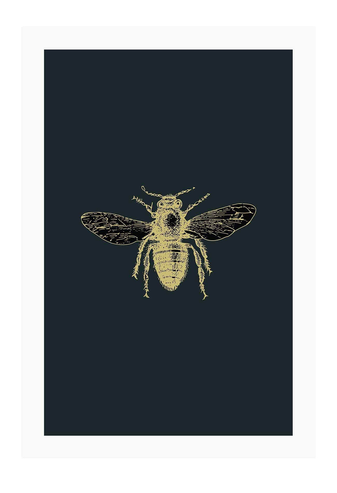 A natural wall art with brass bee on navy blue background that mimics an insect sample