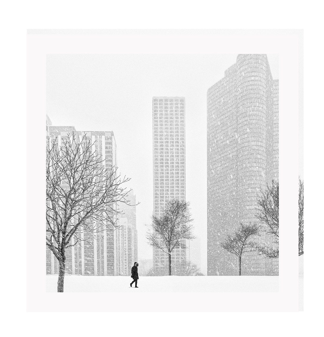 Urban print with black and white city in winter New York City Central Park in square orientation. 