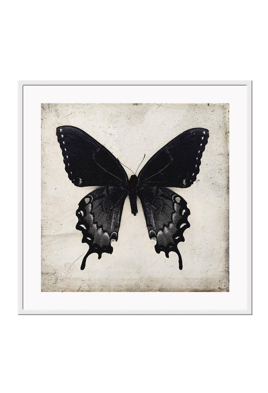 Gothic Butterfly