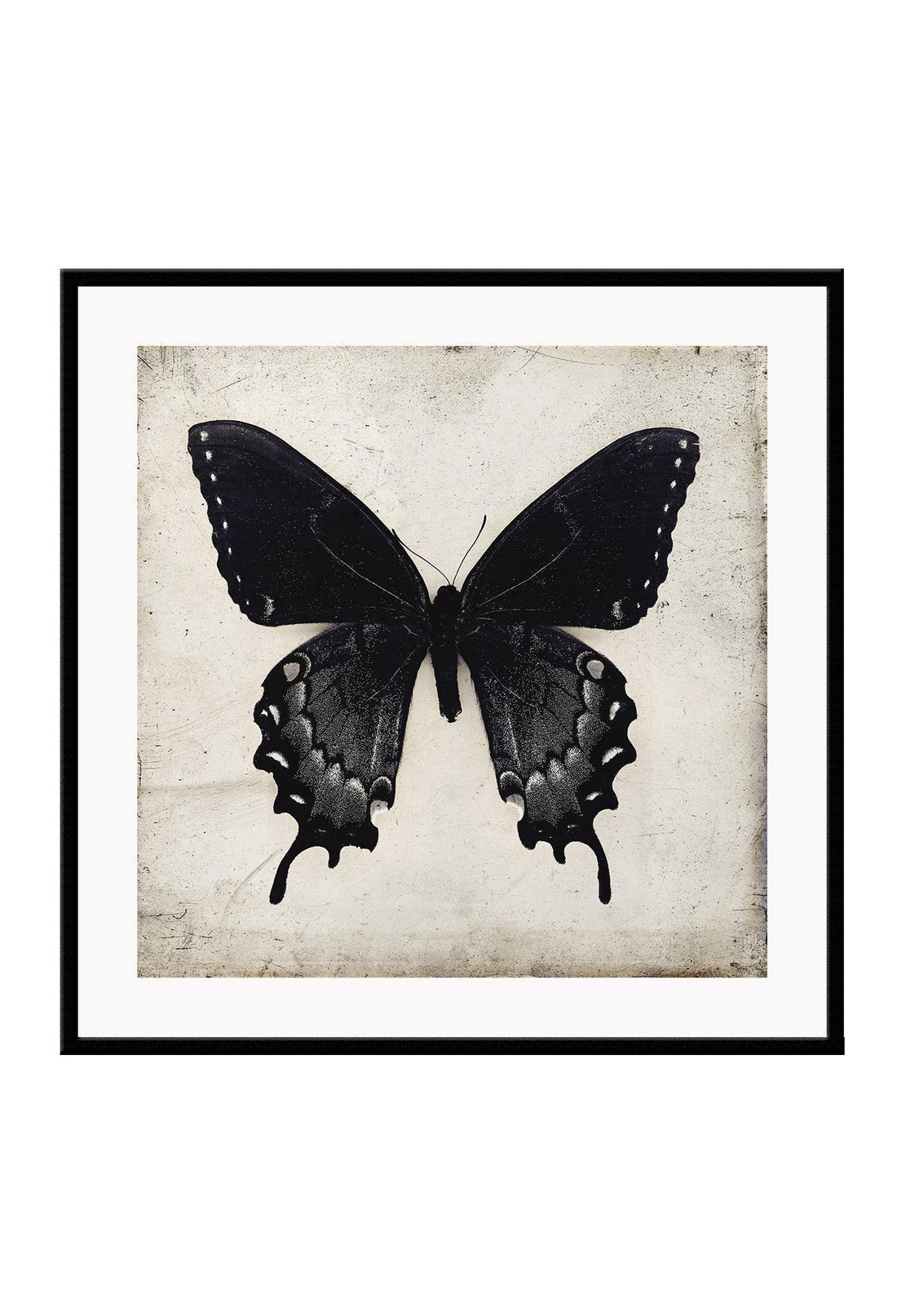 Gothic Butterfly