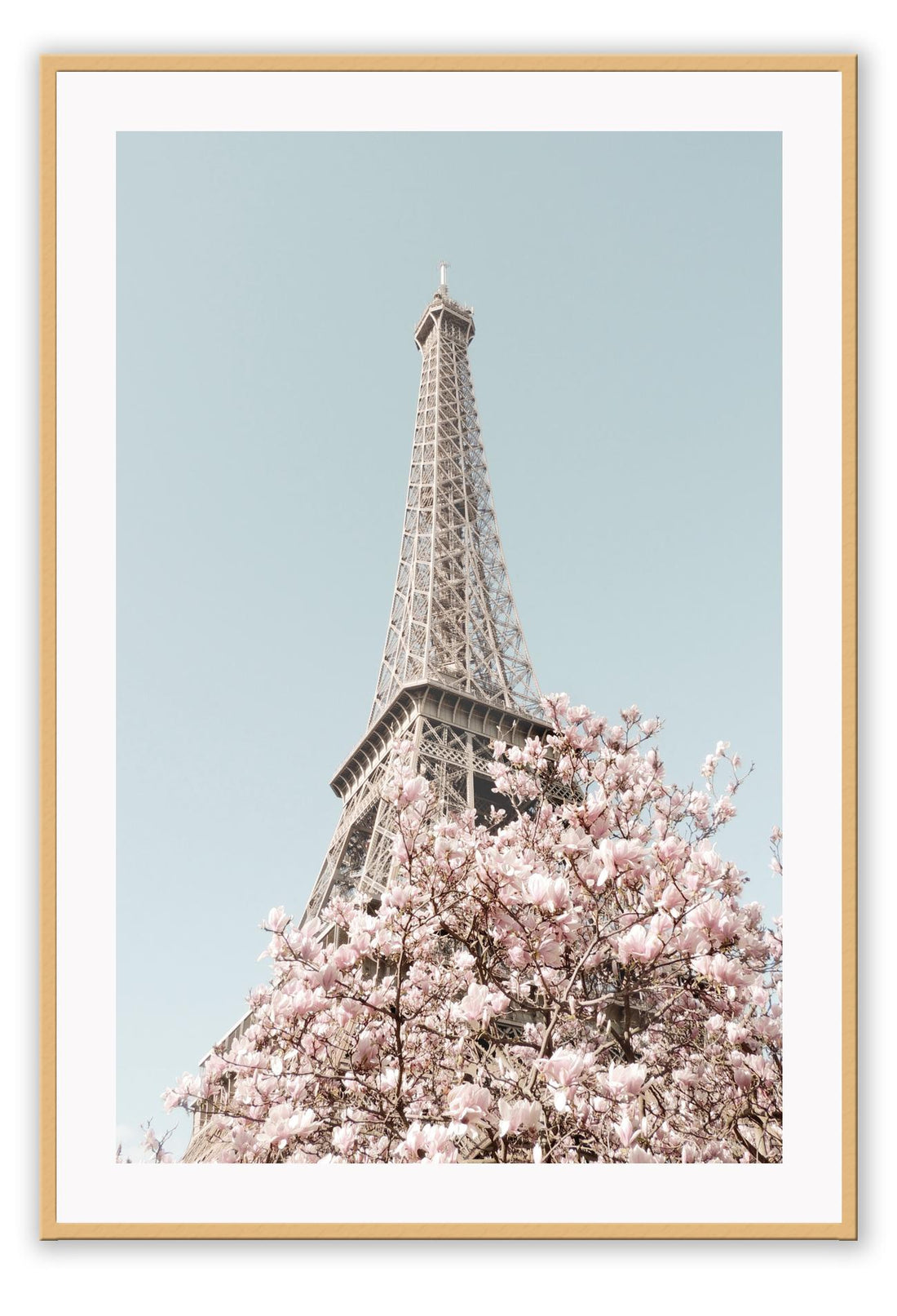 Pink Paris