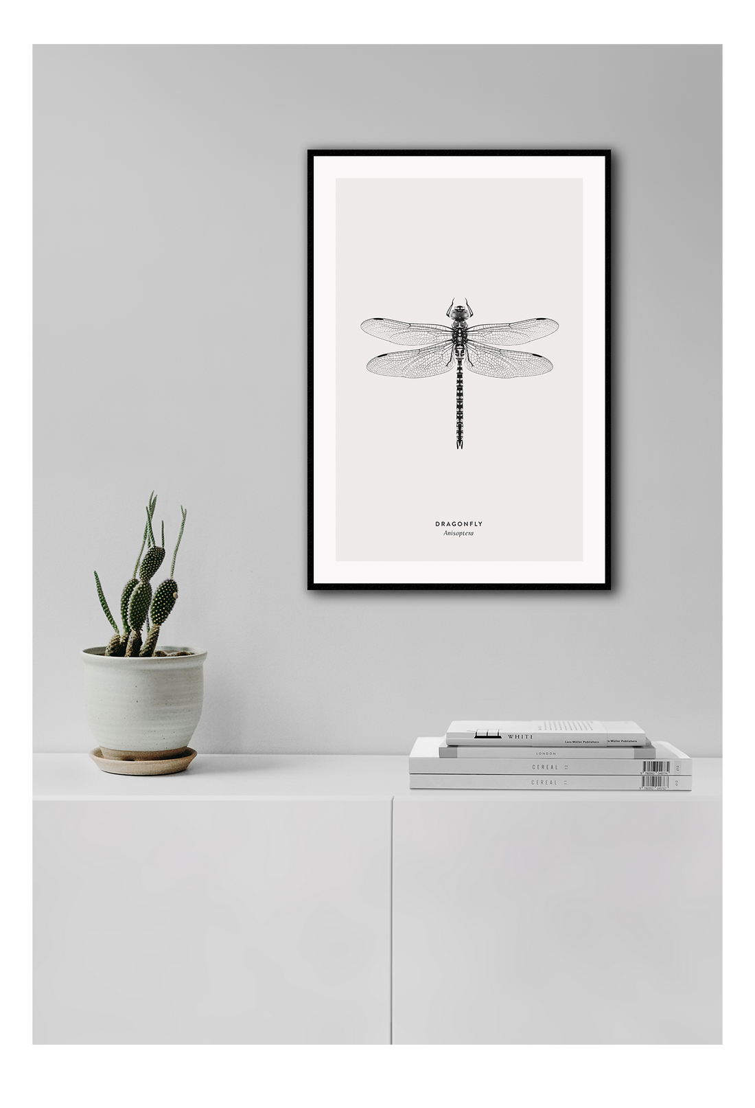 Dragonfly