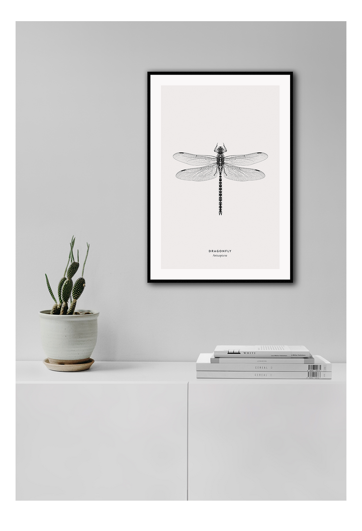 Dragonfly