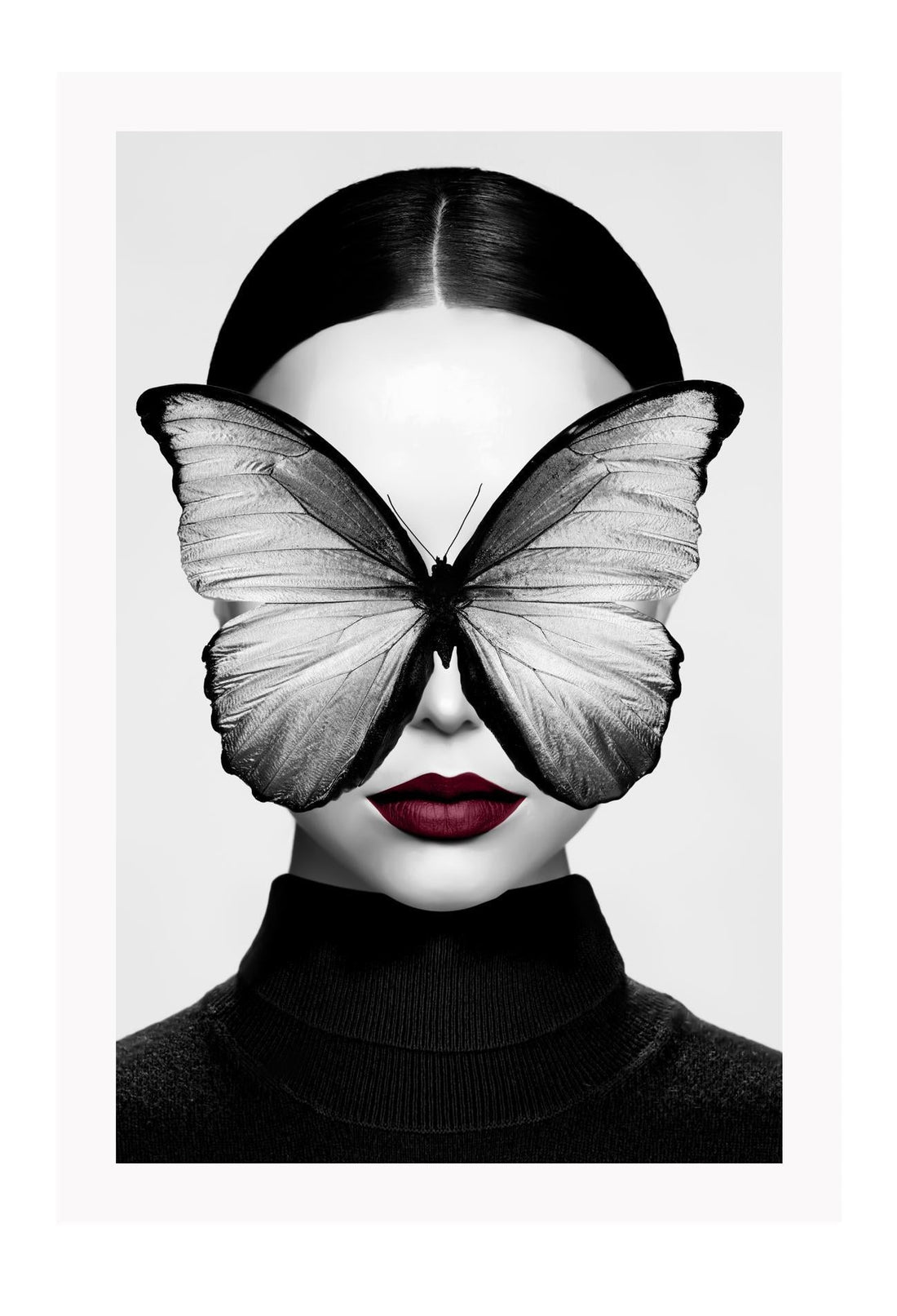 Black Butterfly II