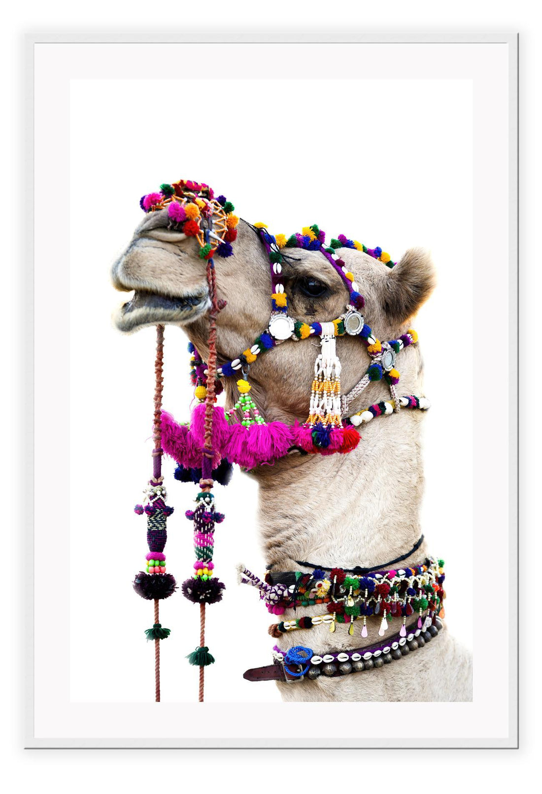 Animal camel print photography bright pink yellow red blue pom pom harness on white background