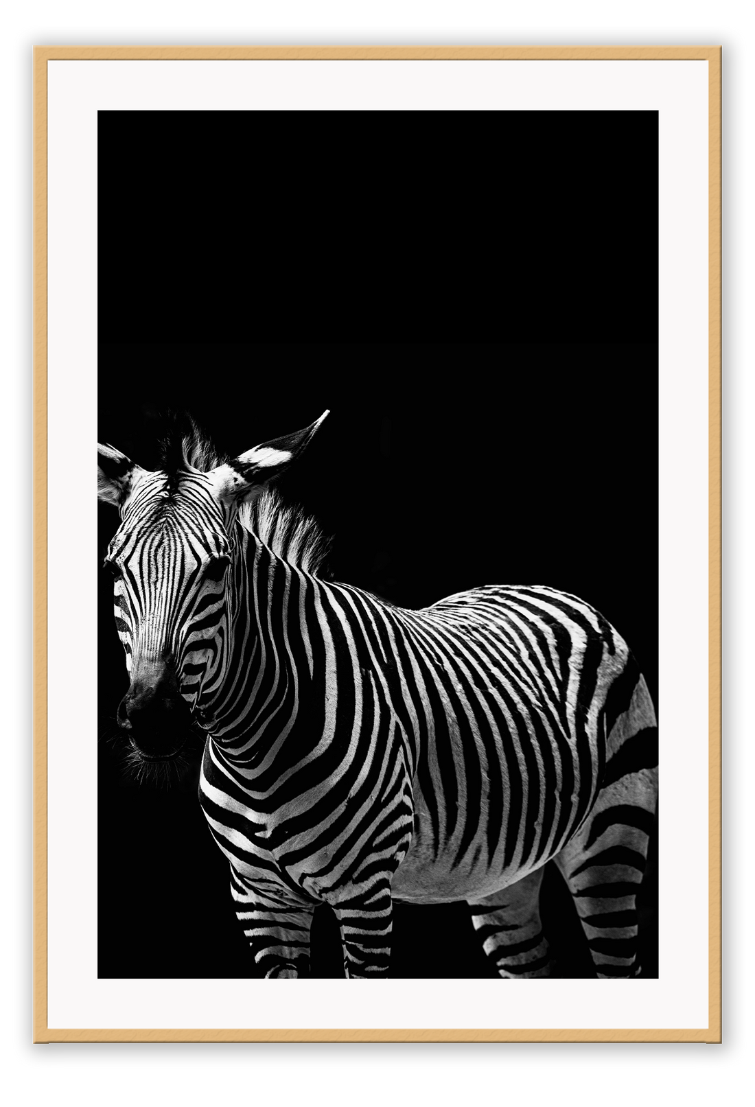 Zebra Black